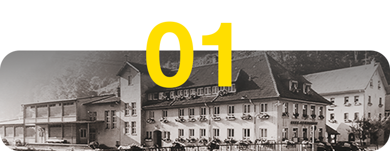 华体育会app地址VEGA，你可能不知道的10件事