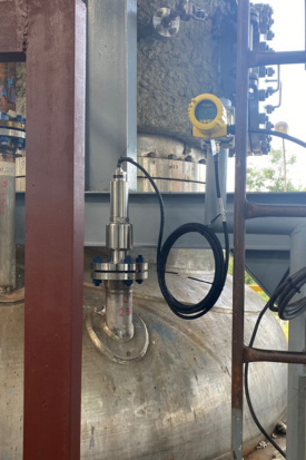 超高性能，無懼高溫：VEGA儀表助力油脂化工企業(yè)實現(xiàn)穩(wěn)定生產(chǎn)