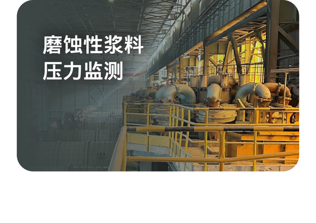 2025 年的最后一天，回看 VEGA 這一年的精彩瞬間