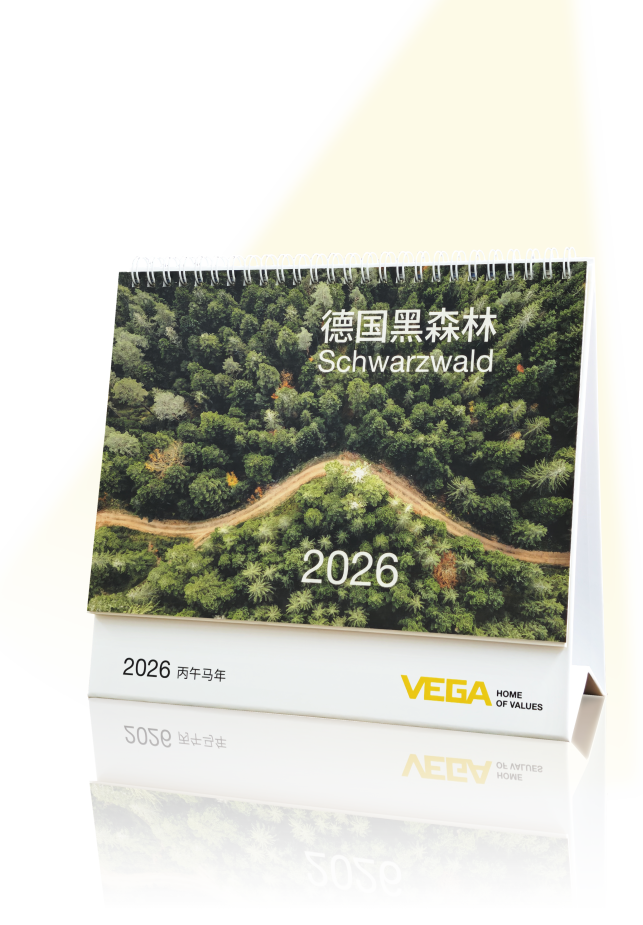 2025 年的最后一天，回看 VEGA 這一年的精彩瞬間