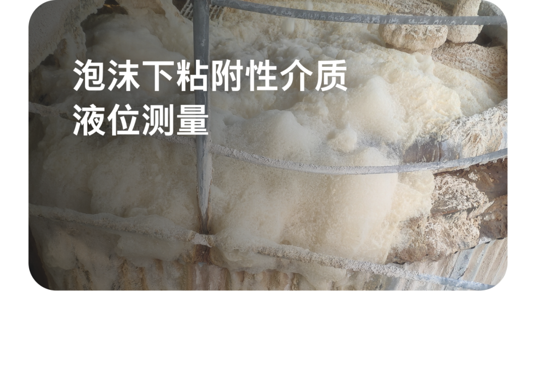 2025 年的最后一天，回看 VEGA 這一年的精彩瞬間