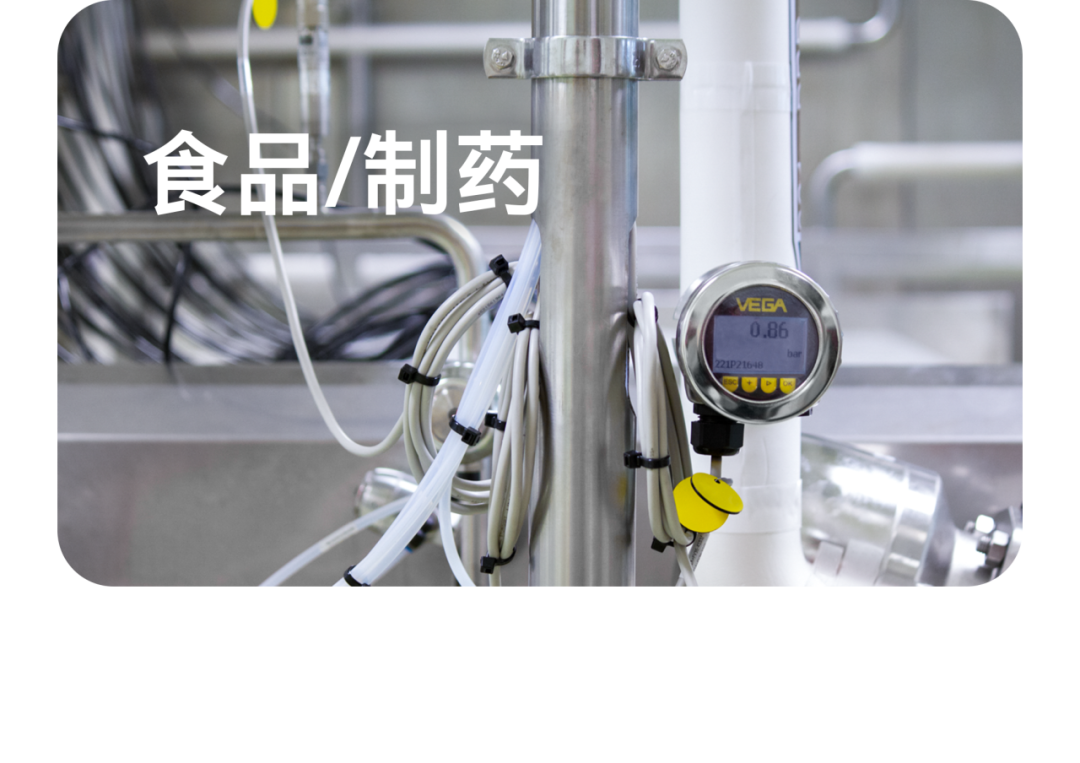 2025 年的最后一天，回看 VEGA 這一年的精彩瞬間