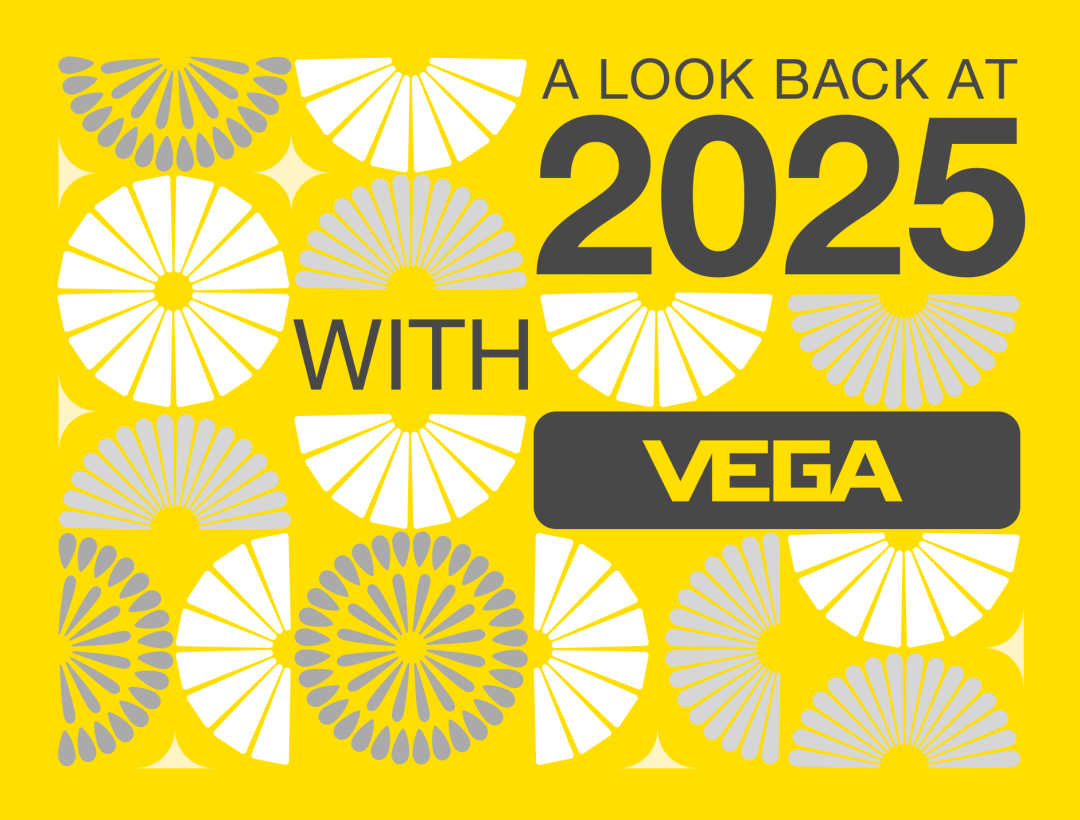 2025 年的最后一天，回看 VEGA 這一年的精彩瞬間