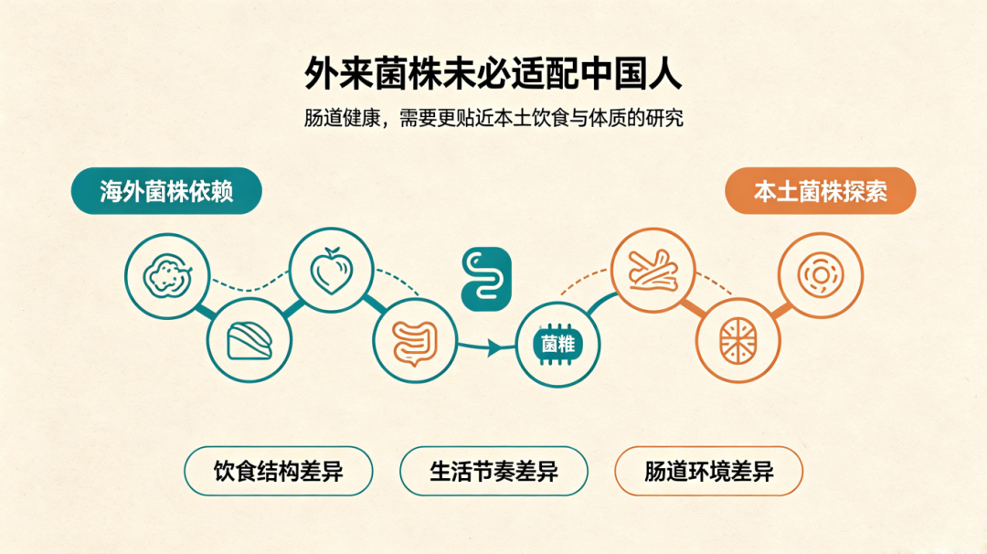 国内益生菌市场依赖海外菌株问题.png