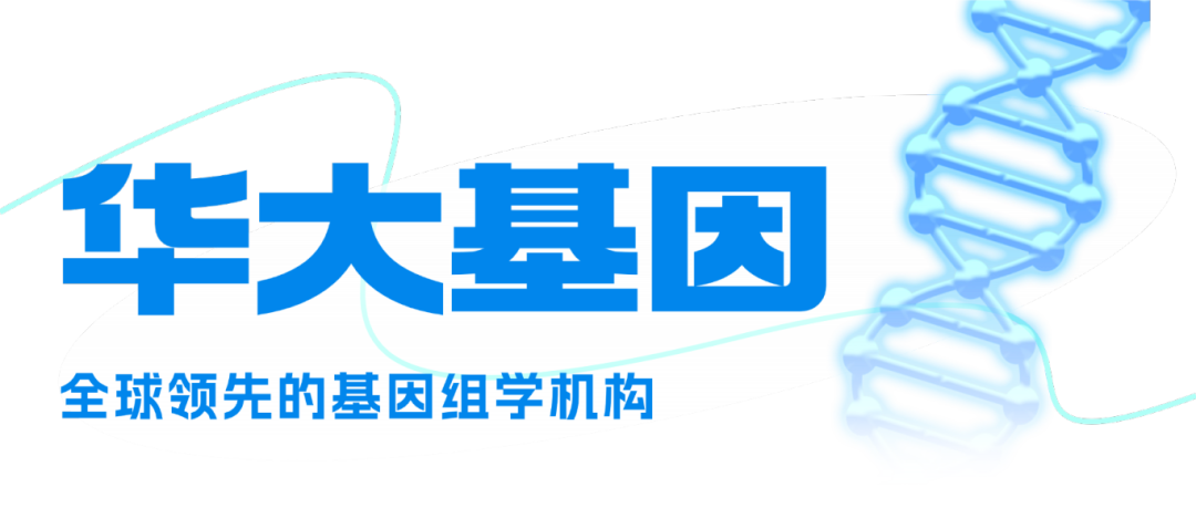 T251120208299-原始文件PSD - 副本 (3).png