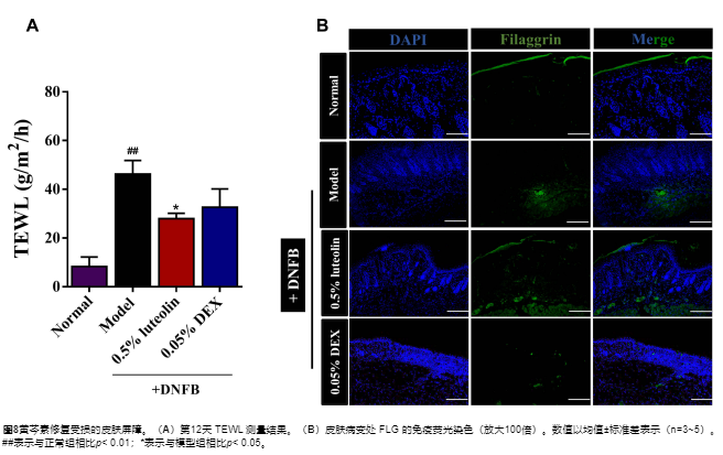 屏幕截圖 2026-02-04 094914.png
