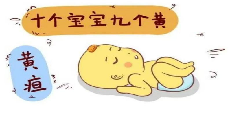 为什么要用光疗纸尿裤我院新生儿日间光疗服务上线啦！ 当天治疗当天回家，便捷又安心！_https://www.jmylbn.com_新闻资讯_第4张