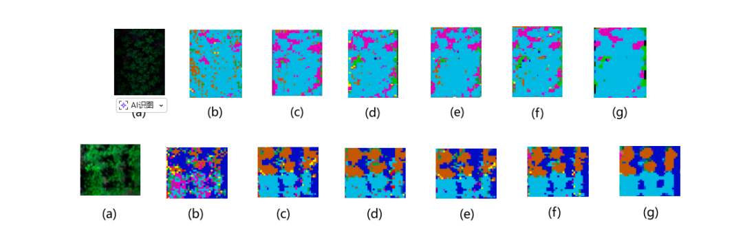 高谱成像技术助力科研：实现山核桃树种精准分类