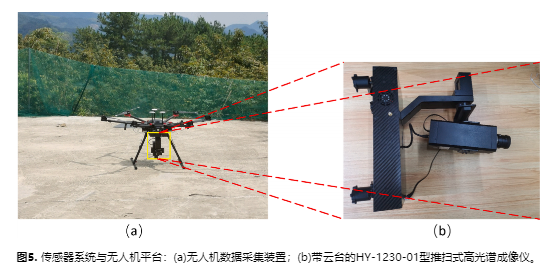高谱成像技术助力科研：实现山核桃树种精准分类