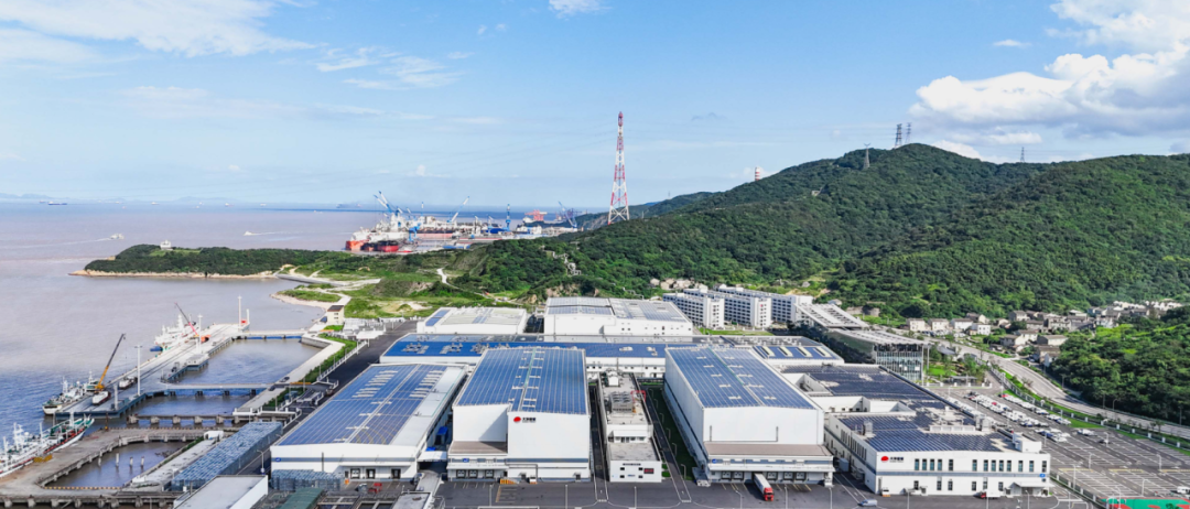 大洋世家：远洋渔业的隐形冠军，如何“钓”出年入39亿的海鲜帝国(图9)
