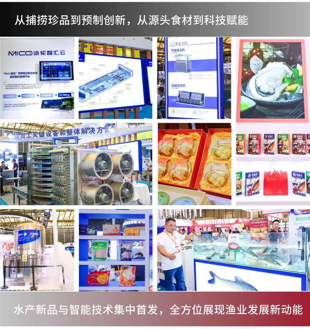全球水产贸易盛会看点全攻略：7大核心亮点一键解锁！(图6)