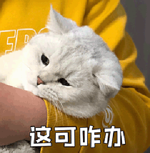 微信图片_20250313152656.png