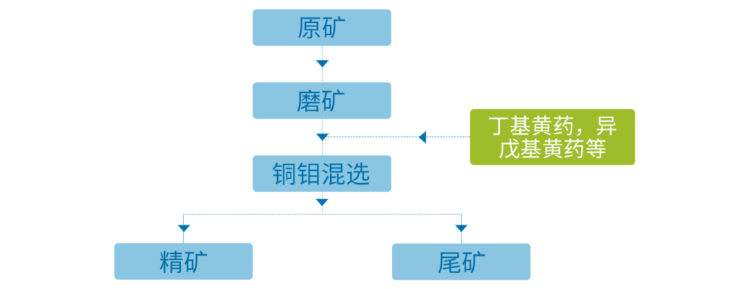1.黃藥捕捉  流程圖.png