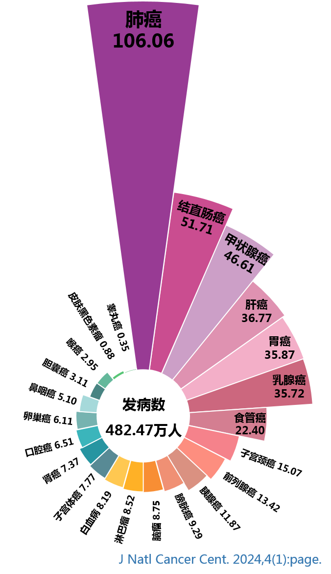 v2-1bc4bceaf5c2fee01ddd65f2071404ea_r.png