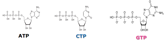 重磅新品 | 強極性化合物的分離不再是難題！