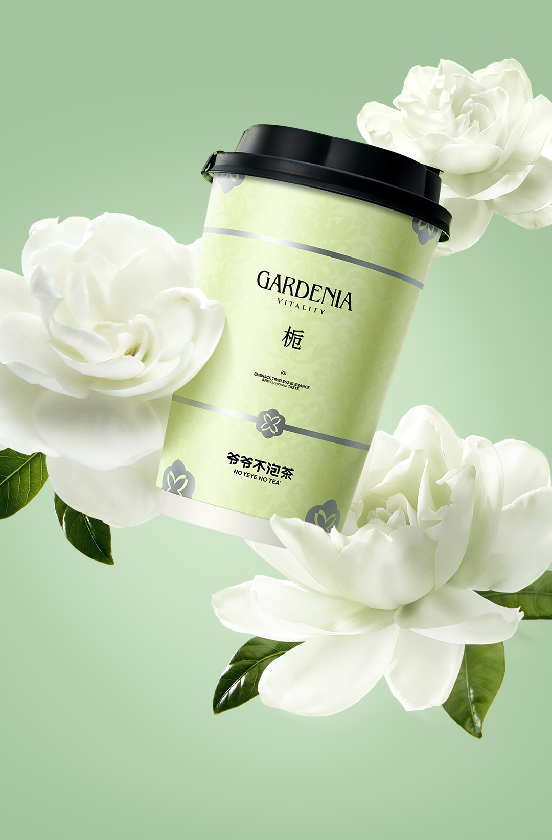 爷爷不泡茶
