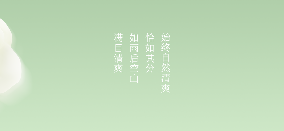 爷爷不泡茶