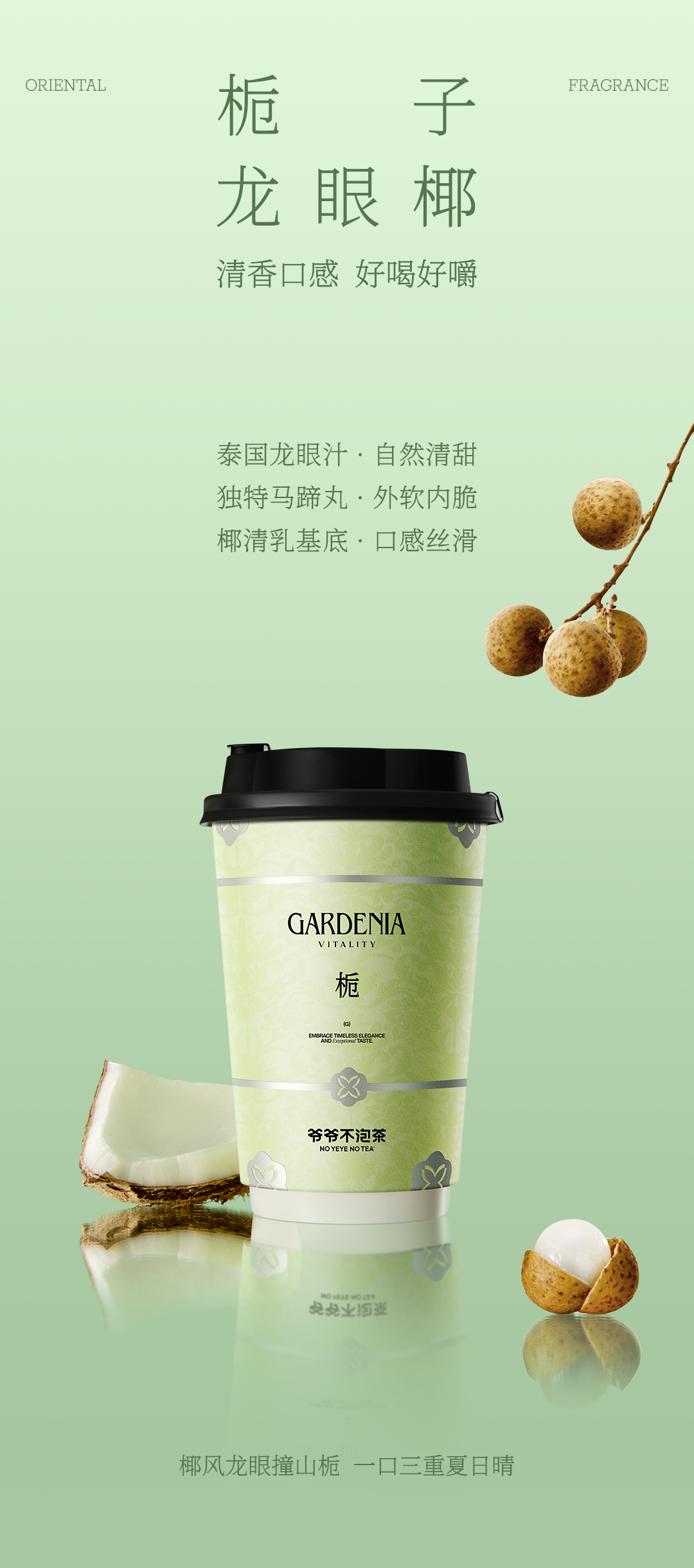 爷爷不泡茶