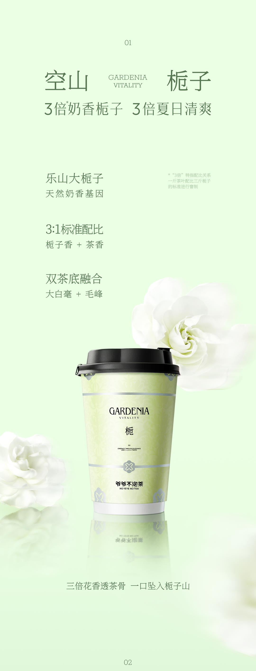 爷爷不泡茶