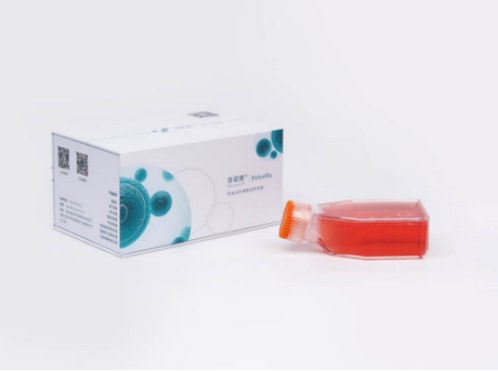 普諾賽®邀您共探細胞奧秘，相約中國細胞生物學學會2025年全國學術大會