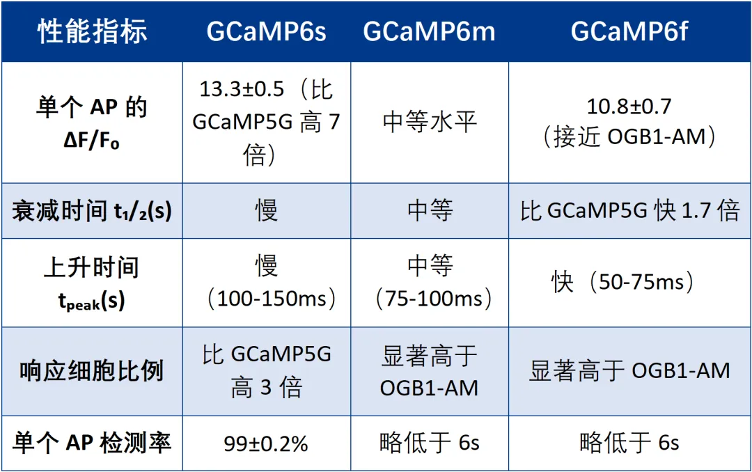 绿色钙成像工具怎么选？从GCaMP6到jGCaMP8，一篇说清所有关键！