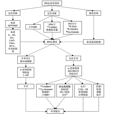 干货：3种常见内分泌性高血压的诊断及治疗要点【附流程图】