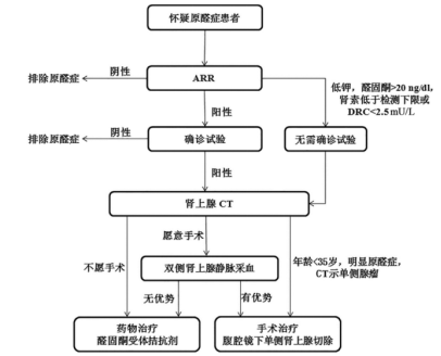 干货：3种常见内分泌性高血压的诊断及治疗要点【附流程图】