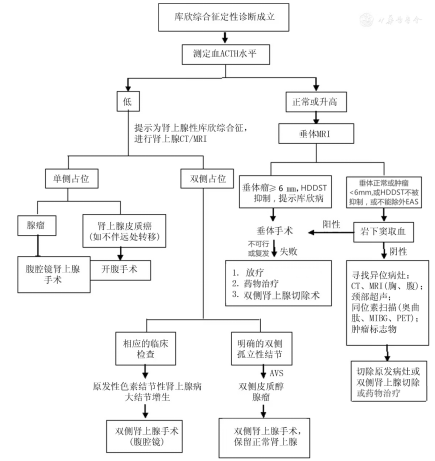 干货：3种常见内分泌性高血压的诊断及治疗要点【附流程图】