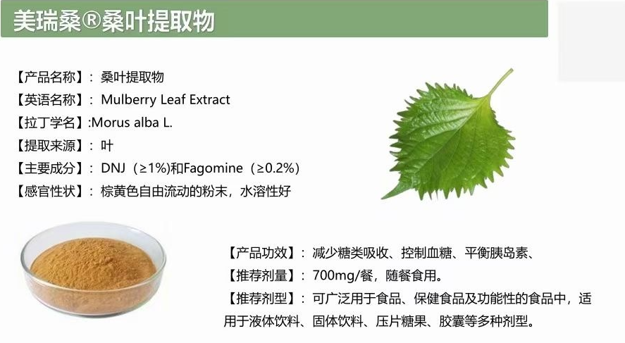 桑叶粉：被忽视的天然补钙宝藏？含量超牛奶14倍！