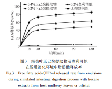霜桑叶如何抑制脂肪吸收？揭秘其作用机制