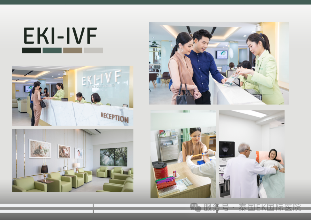 泰国EK国际医院EKI-IVF生殖中心简介