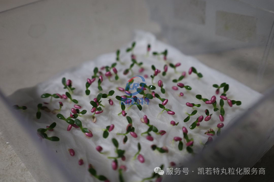 种子丸粒机