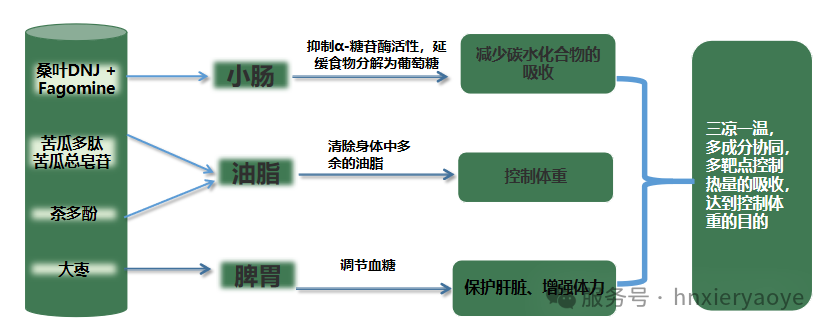 营养科招标-减重门诊-院线产品特性-权威院校实验数据-纯天然版奥利司他-全国独家茶蔬片火热招商中