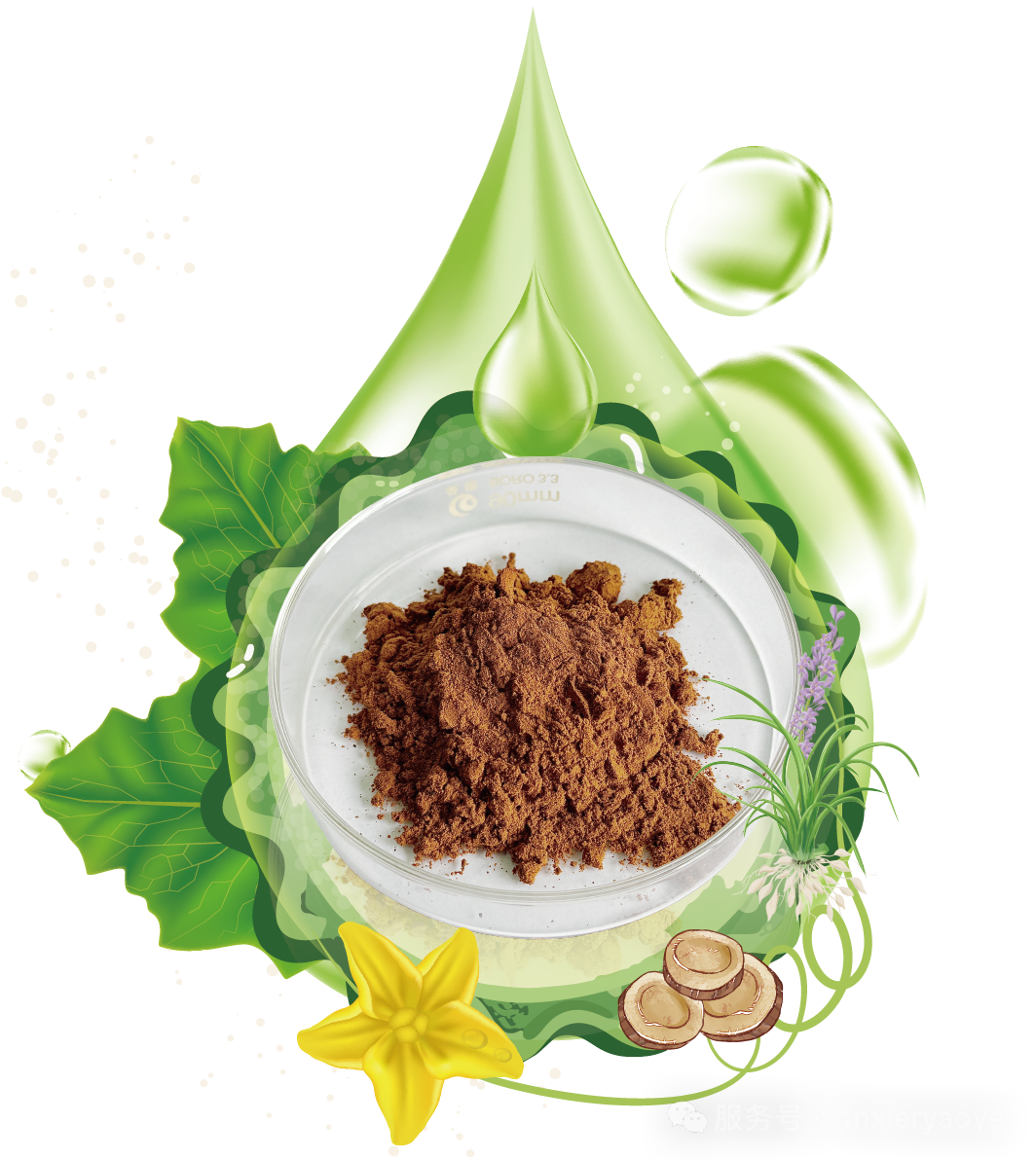 湖南希尔天然药业荣获第三届食药同源论坛技术创新奖！复合植物粉控糖研究获权威认可