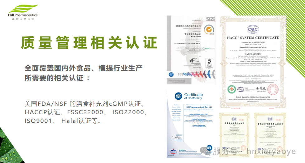 控糖新“食”尚｜以桑叶为本，希尔药业低GI食品开启健康饮食革命