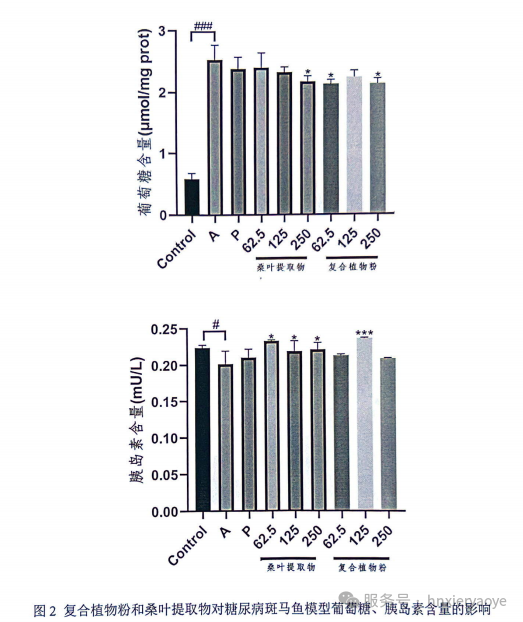伊能启元牌复合植物粉斑马鱼试验大捷！协同降糖功效超桑叶单方提取物