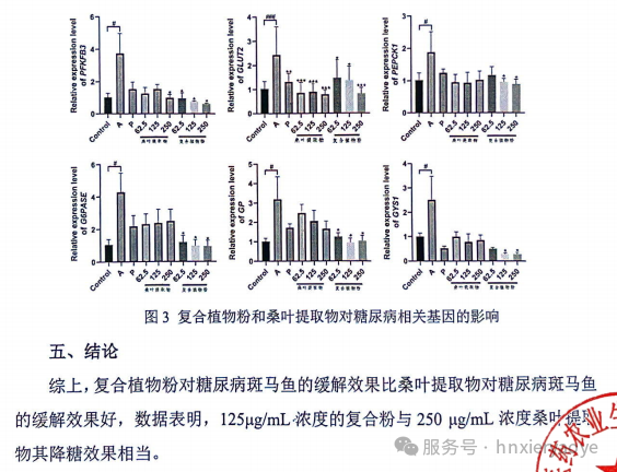 伊能启元牌复合植物粉斑马鱼试验大捷！协同降