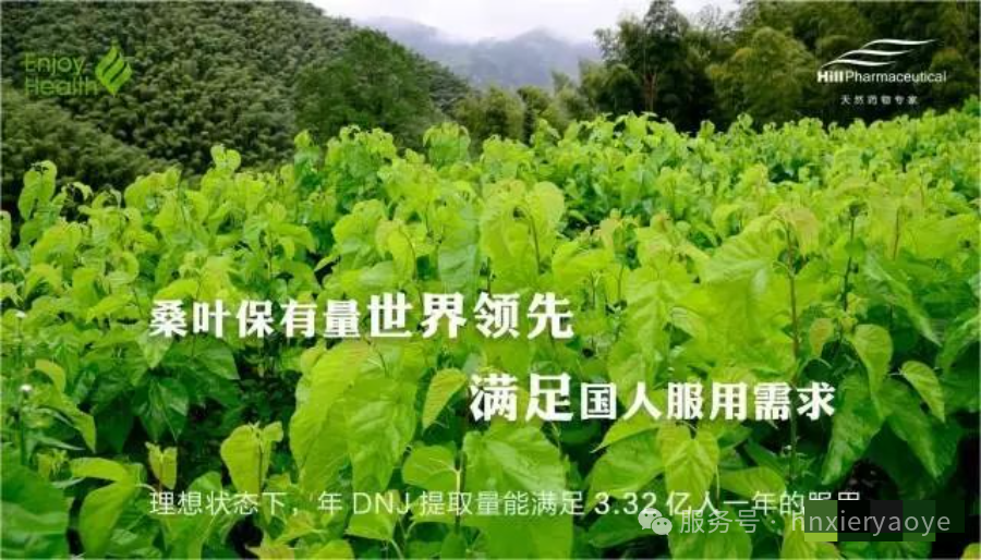 桑叶地图——天然植物提取物的世界通用语言