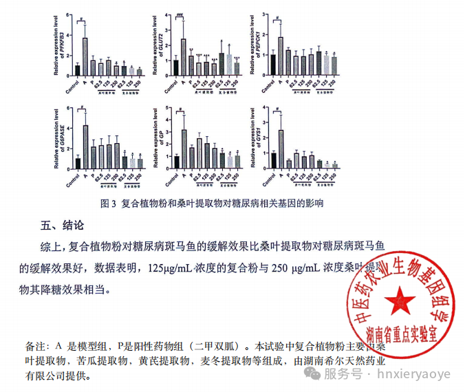 湖南希尔天然药业荣获第三届食药同源论坛技术创新奖！复合植物粉控糖研究获权威认可