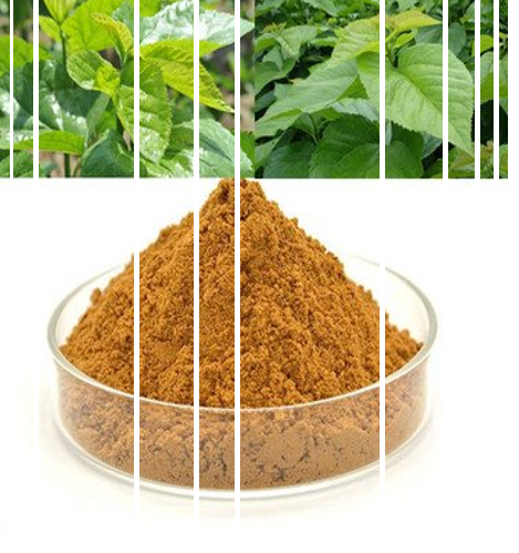 营养科招标-减重门诊-院线产品特性-权威院校实验数据-纯天然版奥利司他-全国独家茶蔬片火热招商中