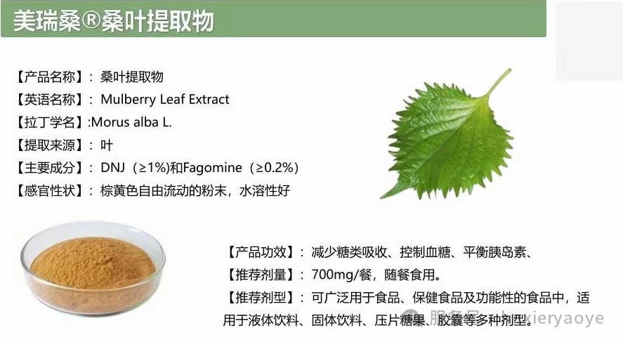 桑叶正悄然成为低GI食品界的一匹黑马