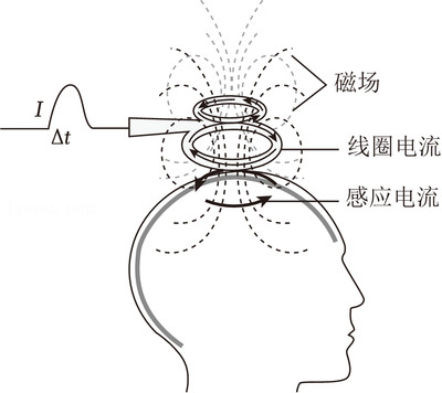 医讯怎么用【医讯】仅用一个线圈实现“神经康复”？这种先进技术已在深汕中心医院落地！_https://www.jmylbn.com_新闻资讯_第2张