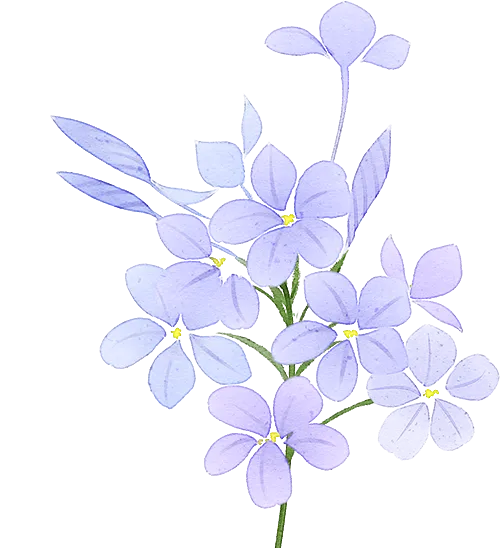 化疗为什么用泵让精准治疗＂随身而行＂：便携式化疗输注泵 助力“泵”向健康_https://www.jmylbn.com_新闻资讯_第2张