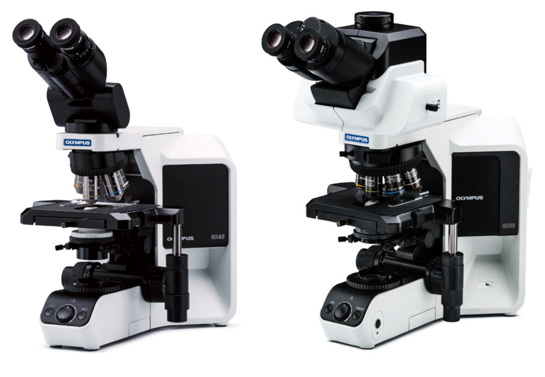 奧偉登發(fā)布全新沉浸式超寬視野顯微鏡，助力精準(zhǔn)病理決策！