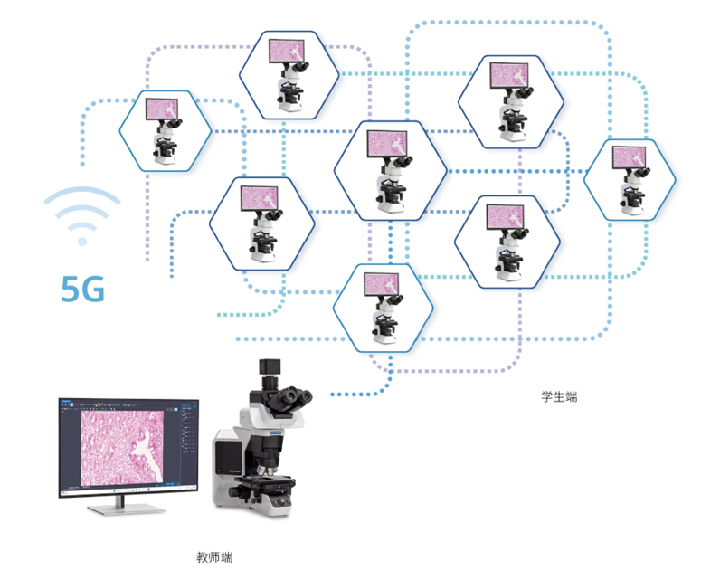 一體化顯微互動(dòng)教學(xué)系統(tǒng)