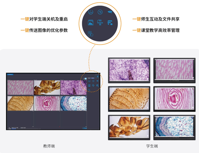 一體化顯微互動(dòng)教學(xué)系統(tǒng)
