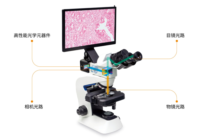 一體化顯微互動(dòng)教學(xué)系統(tǒng)