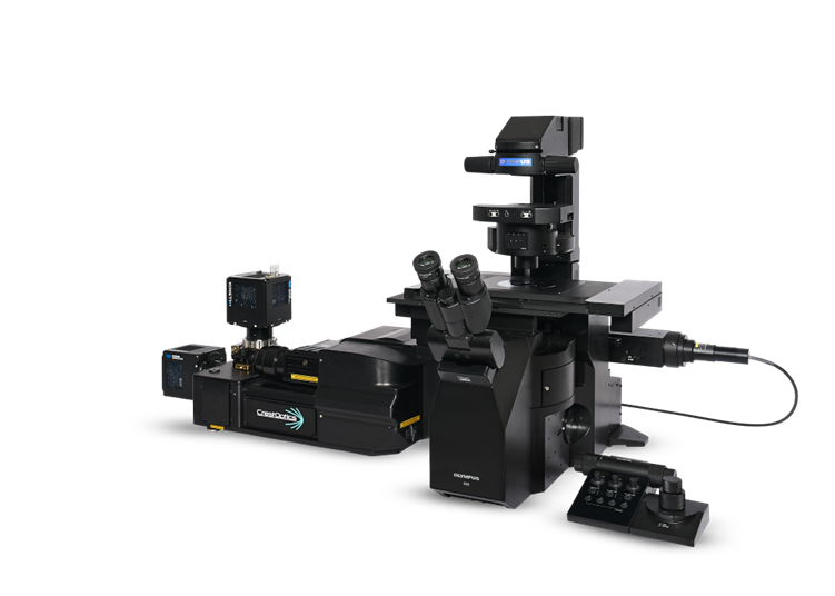 EVIDENT全新IXplore IX85 SpinXL和SpinSR轉(zhuǎn)盤共聚焦系統(tǒng)發(fā)布！