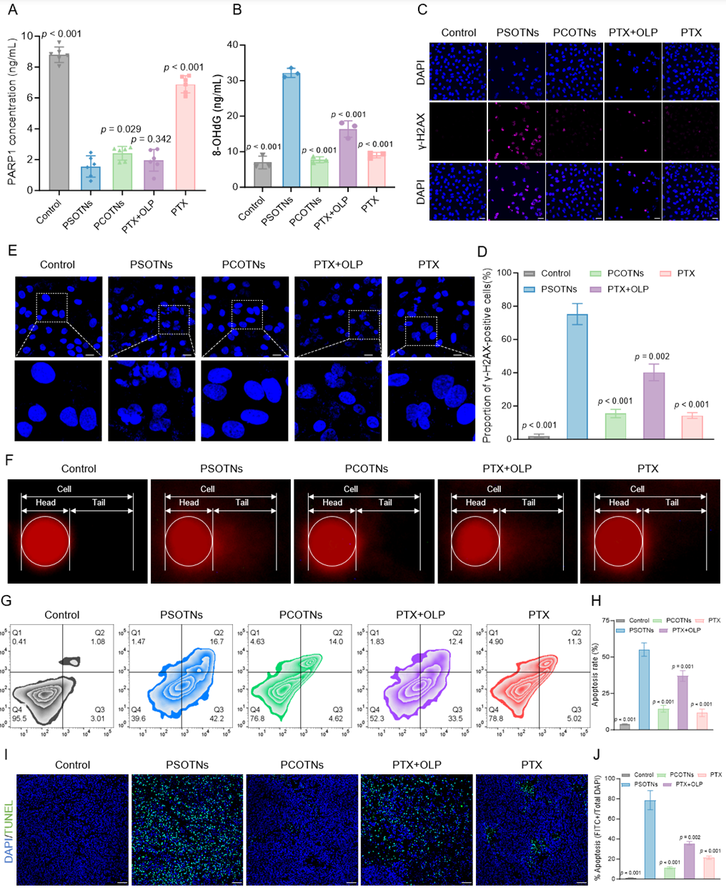 科技前沿丨GSH/ROS雙響應(yīng)自組裝多組分前藥用于耐藥性非小細(xì)胞肺癌的治療