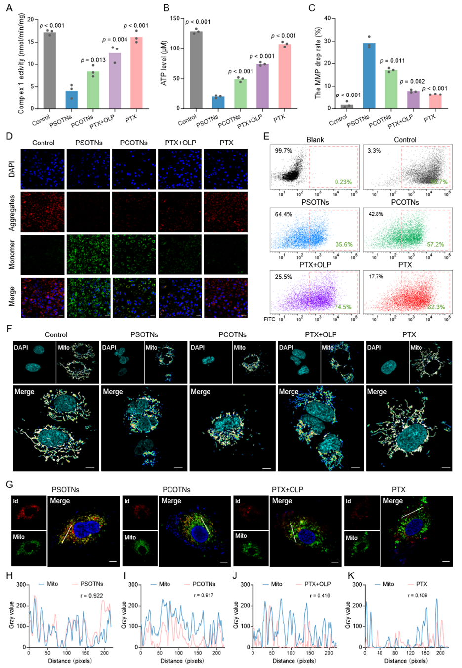 科技前沿丨GSH/ROS雙響應(yīng)自組裝多組分前藥用于耐藥性非小細(xì)胞肺癌的治療